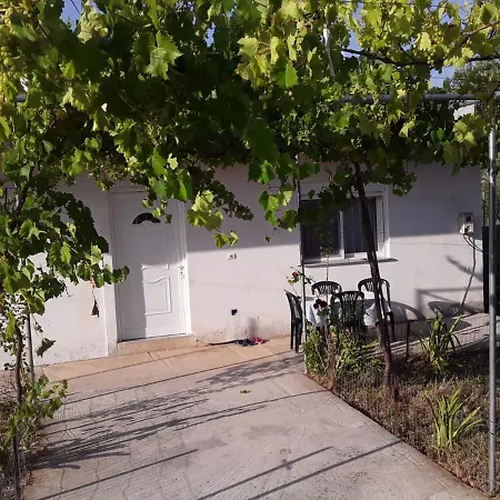 Διαμέρισμα Vacation Home Ana Shen Vasil